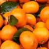 Mandarinas TOPITO