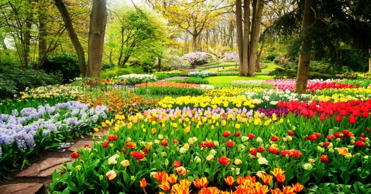 Jardin 1