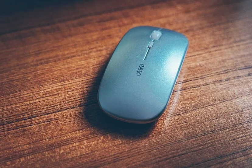 Test mouse 2